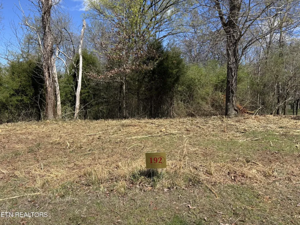 0 E Shore Drive Rockwood TN 37854