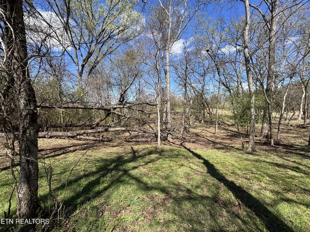 0 E Shore Drive Rockwood TN 37854