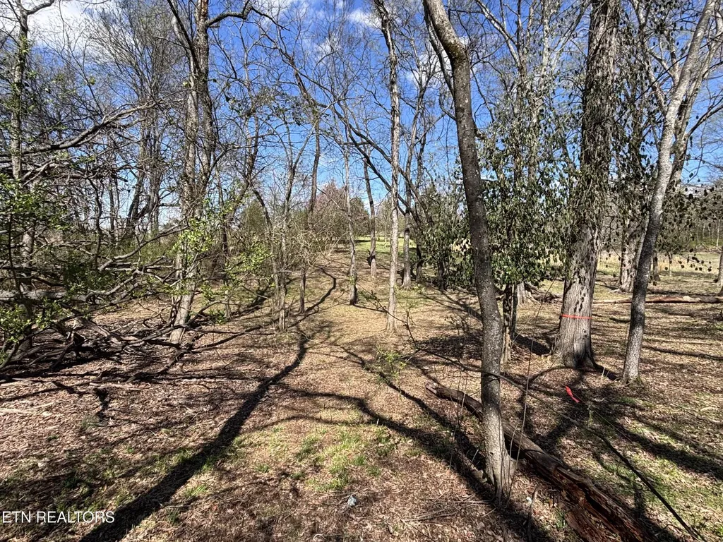 0 E Shore Drive Rockwood TN 37854