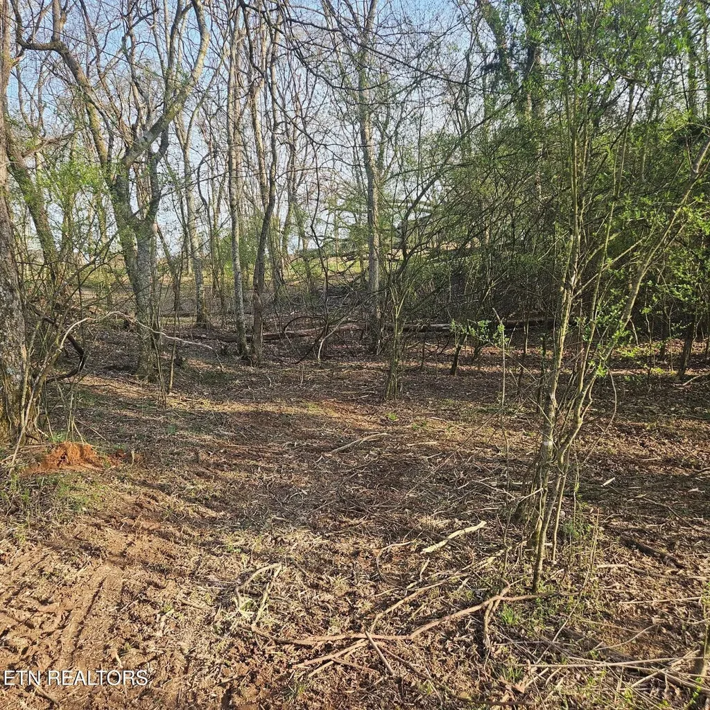 0 E Shore Drive Rockwood TN 37854