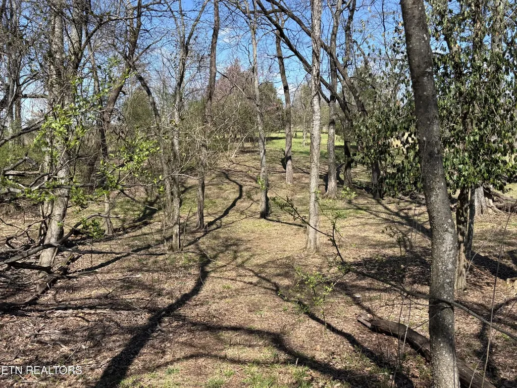 0 E Shore Drive Rockwood TN 37854