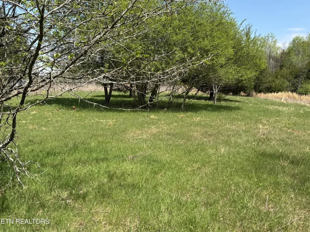 0 E Shore Drive Rockwood TN 37854