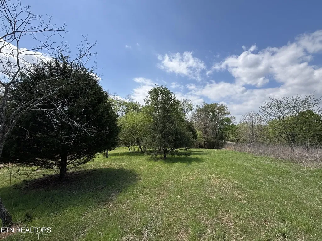 0 E Shore Drive Rockwood TN 37854