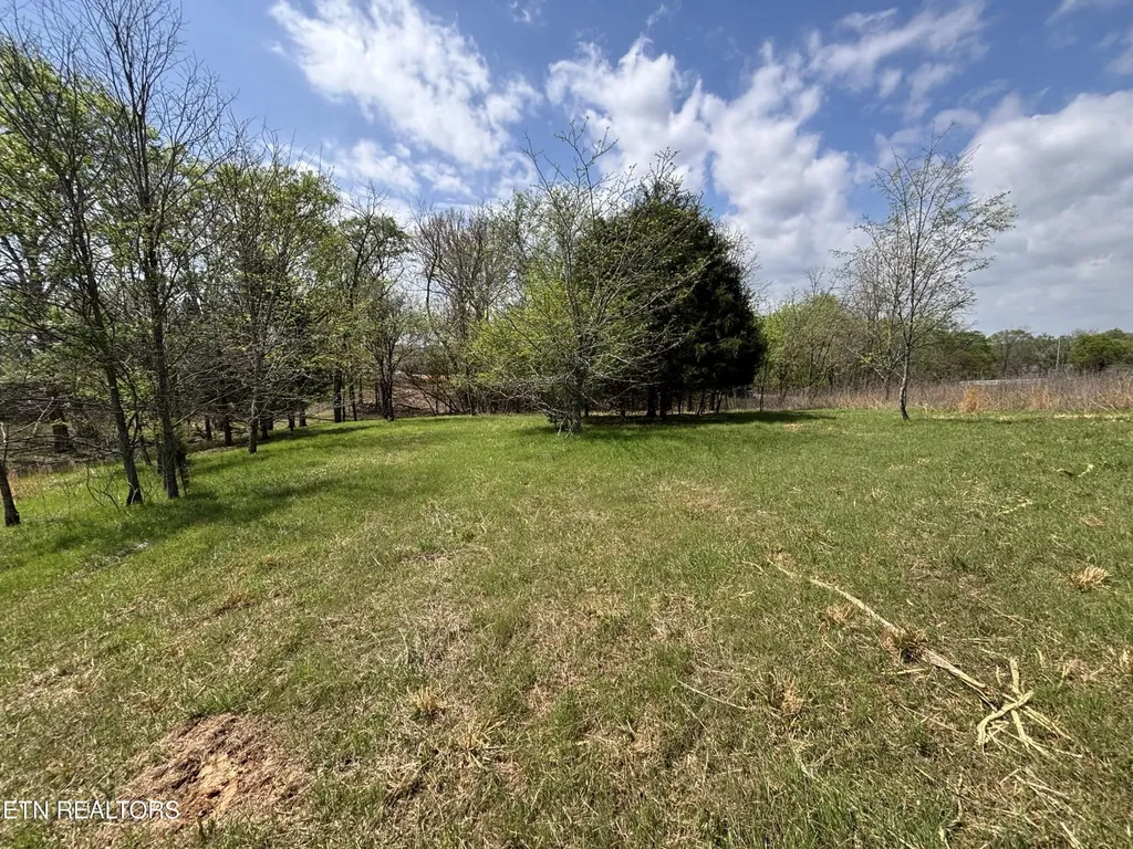 0 E Shore Drive Rockwood TN 37854
