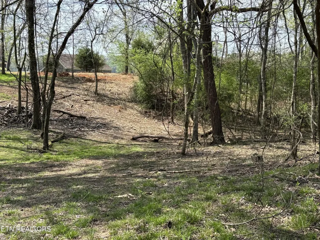 0 E Shore Drive Rockwood TN 37854