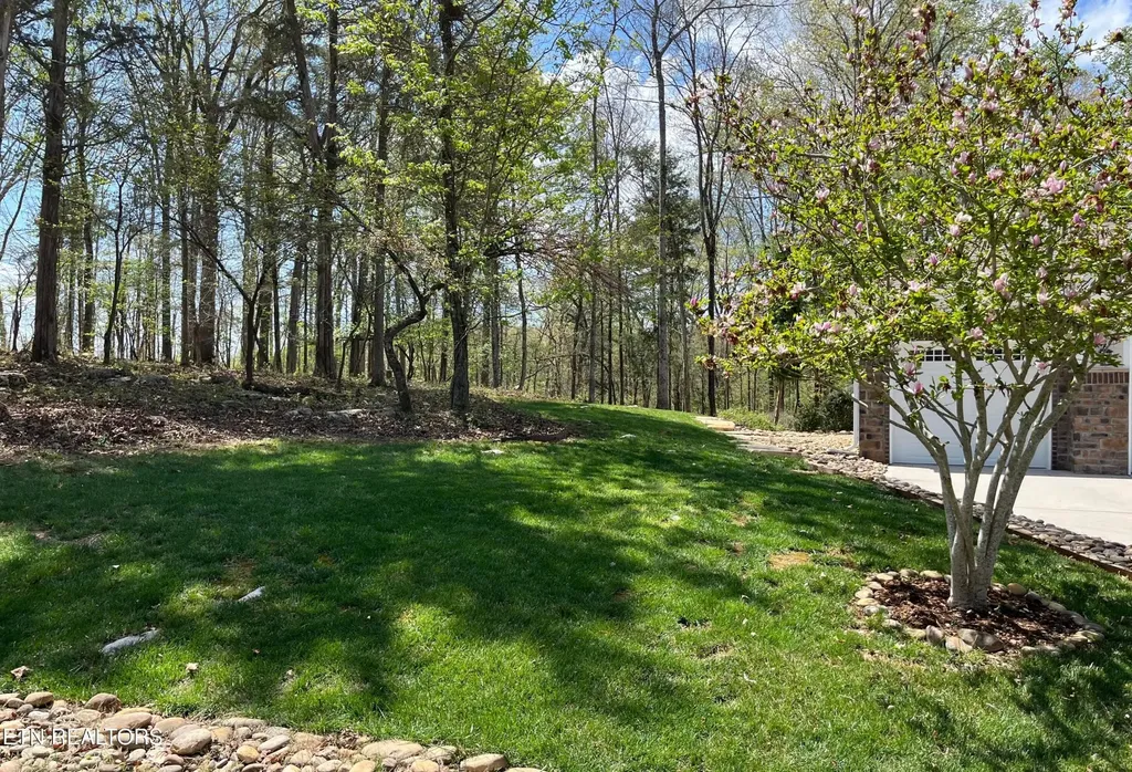 180 E Shore Drive Rockwood TN 37854