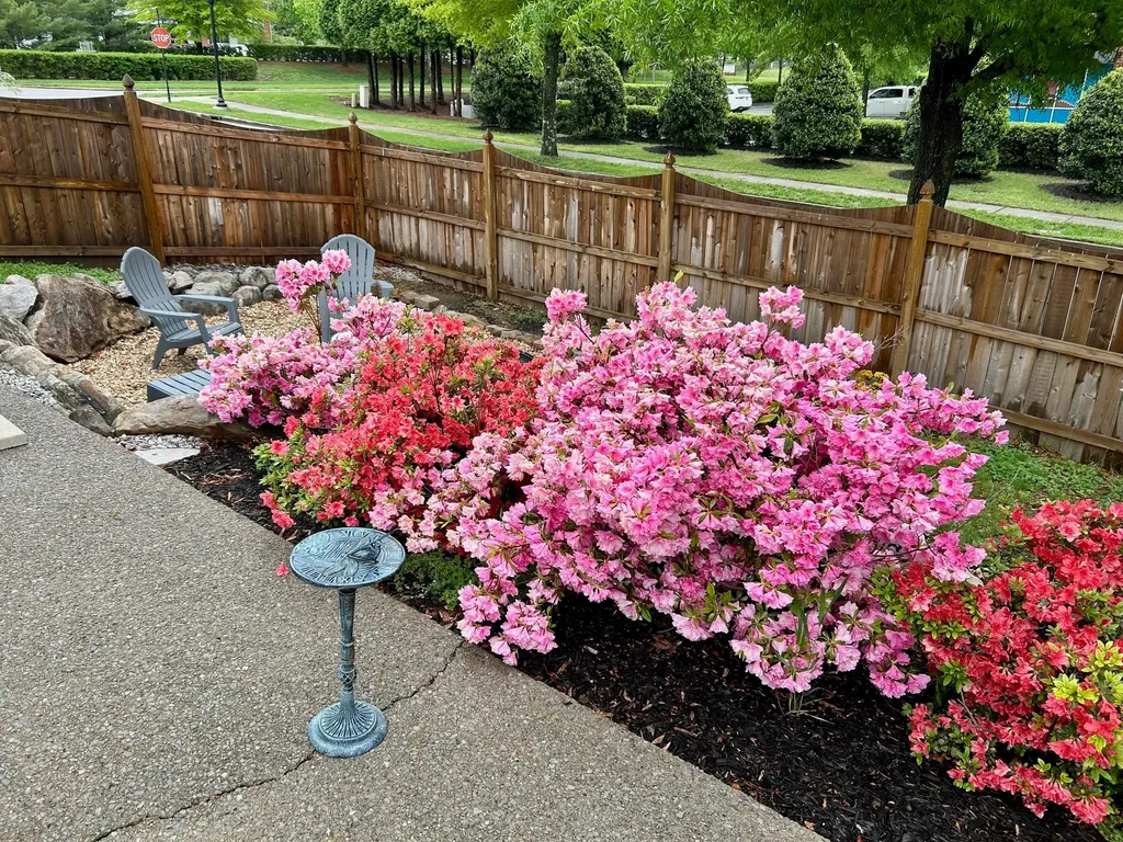 1377 Liberty Pike Franklin TN 37067