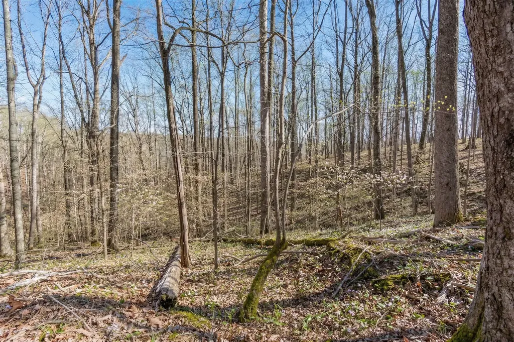 5717 Quest Ridge Road Franklin TN 37064