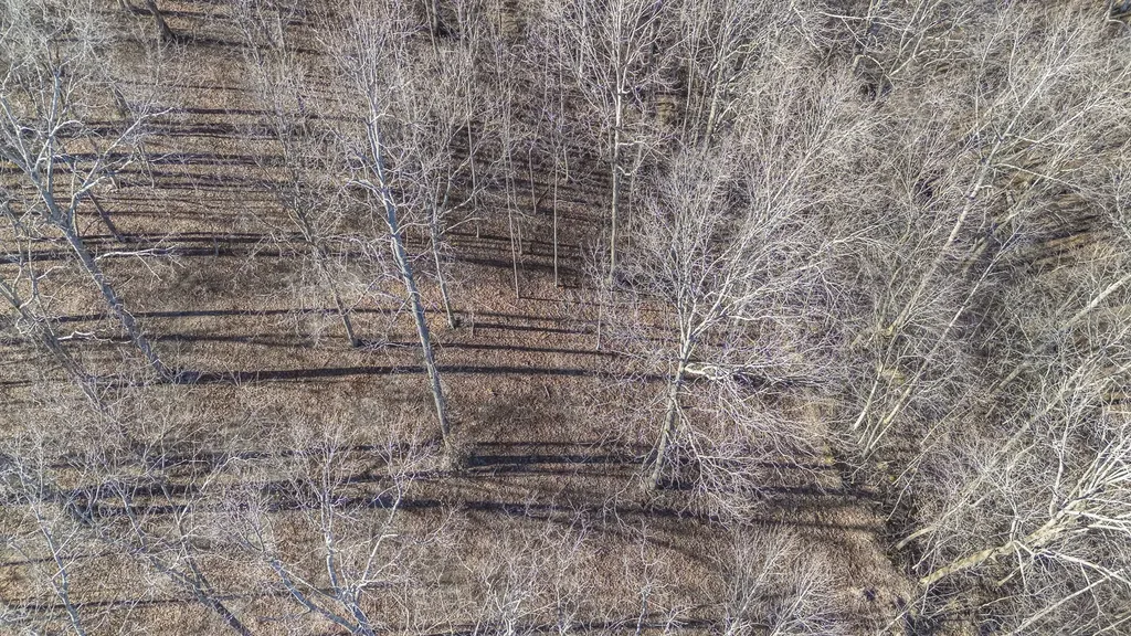 5717 Quest Ridge Road Franklin TN 37064