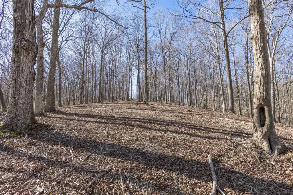 5717 Quest Ridge Road Franklin TN 37064