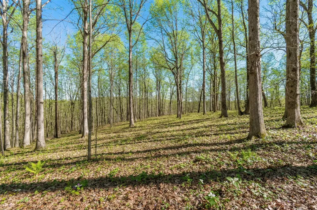 5717 Quest Ridge Road Franklin TN 37064