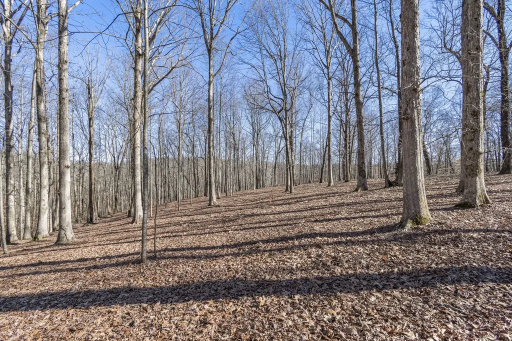 5717 Quest Ridge Road Franklin TN 37064