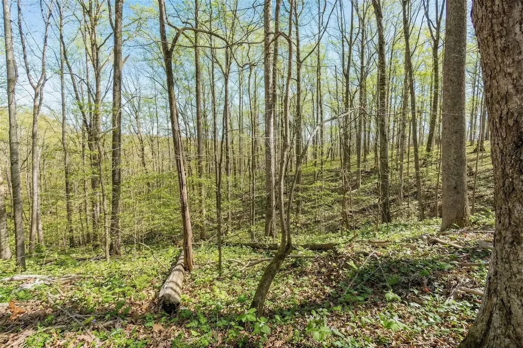 5717 Quest Ridge Road Franklin TN 37064