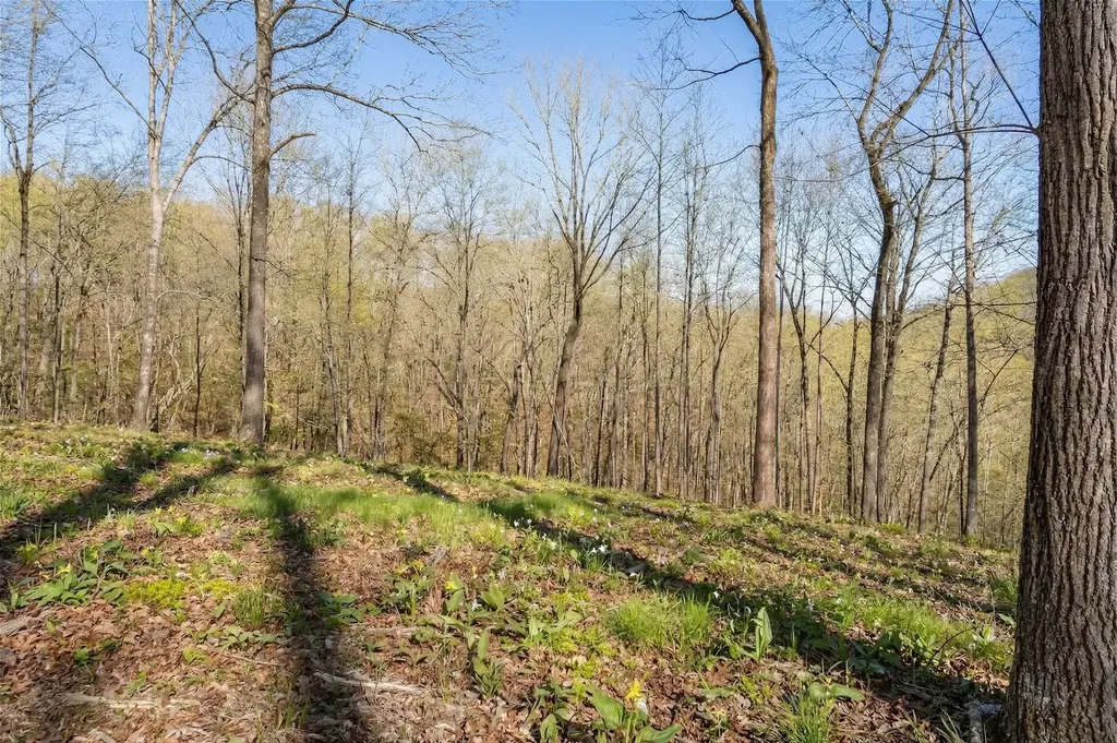 5717 Quest Ridge Road Franklin TN 37064
