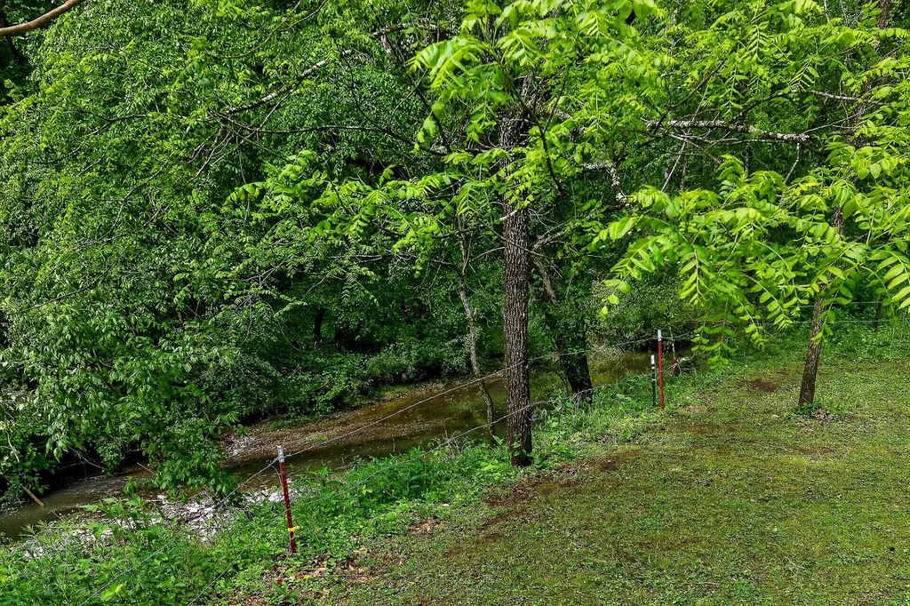 3754 Alexandria To Dismal Road Liberty TN 37095