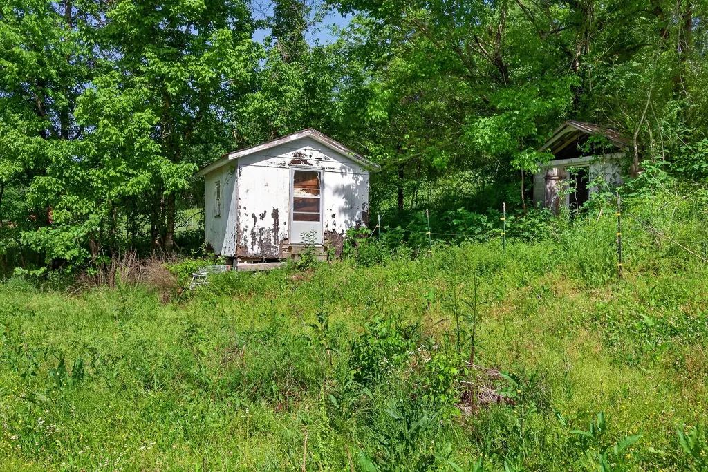 3754 Alexandria To Dismal Road Liberty TN 37095