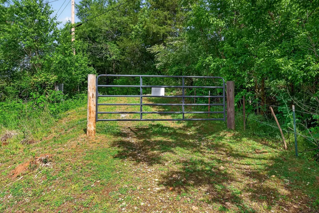 3754 Alexandria To Dismal Road Liberty TN 37095
