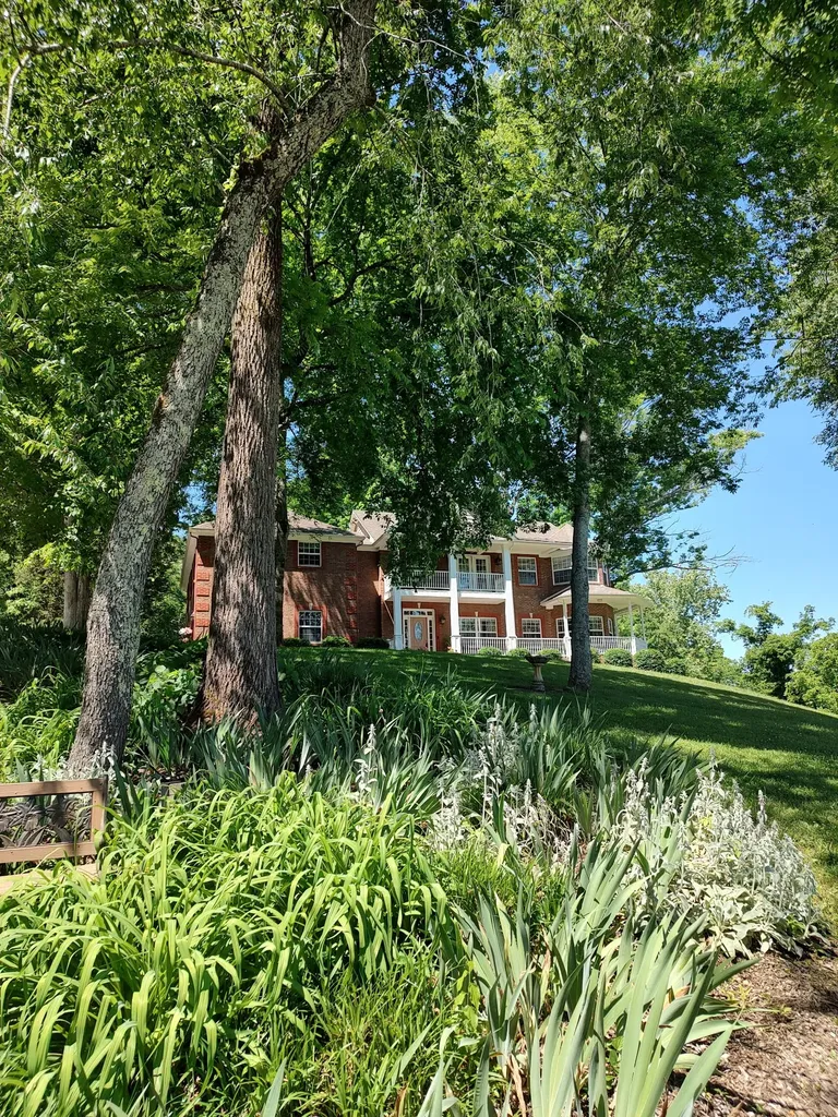 508 Katelyn Dr, S Spring Hill TN 37174