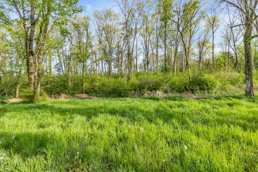 6314 Mcdaniel Road College Grove TN 37046
