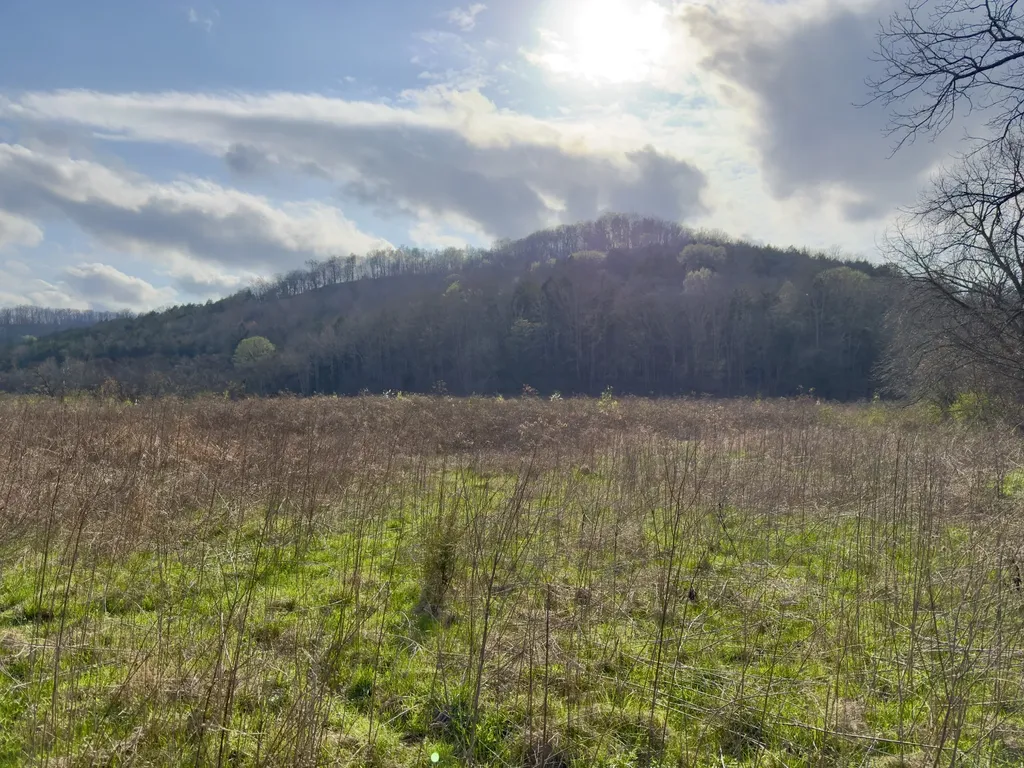 3780 Hurricane Creek Road Woodbury TN 37190