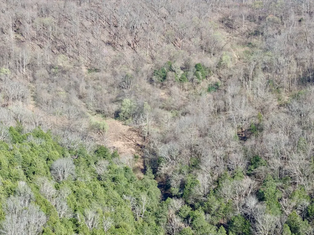 3780 Hurricane Creek Road Woodbury TN 37190