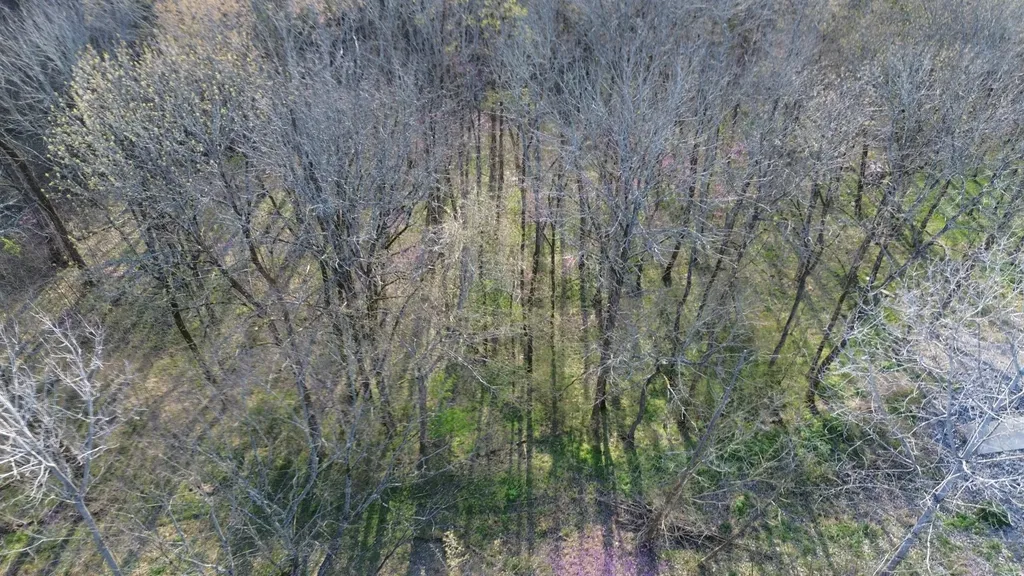 0 Wilson Circle Smithville TN 37166