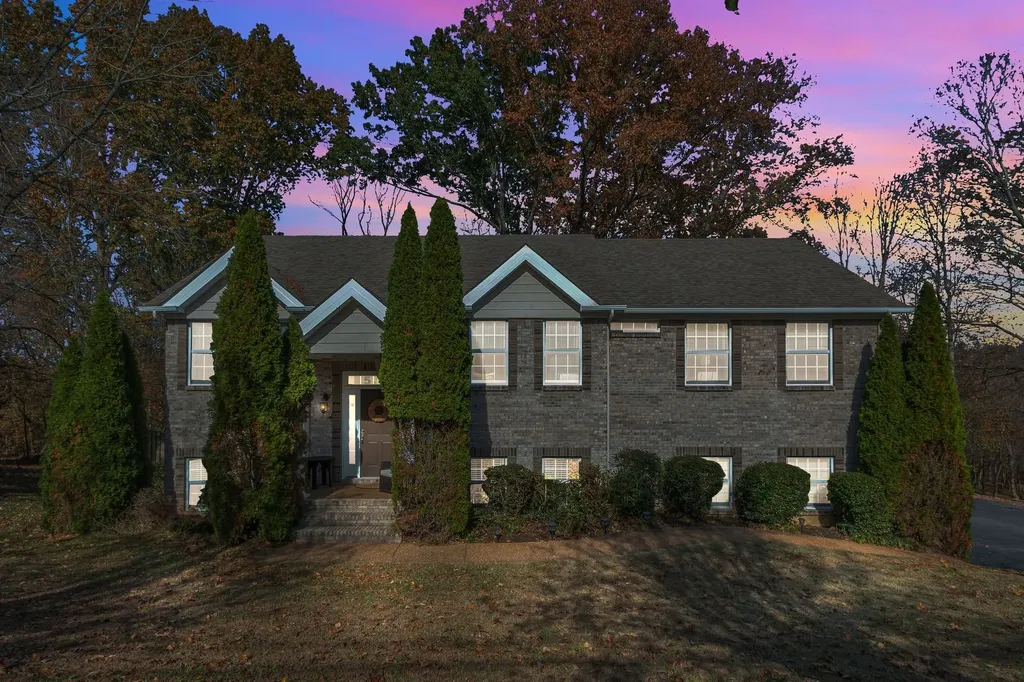 529 Katelyn Dr, S Spring Hill TN 37174