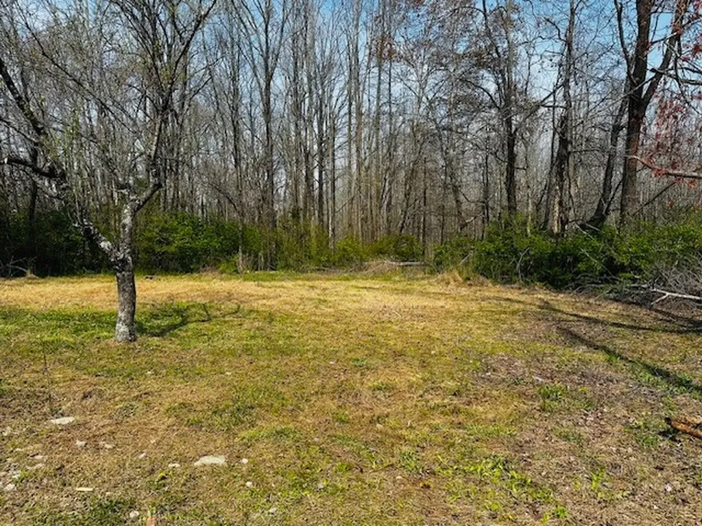 7120 Cobb Circle Fairview TN 37062
