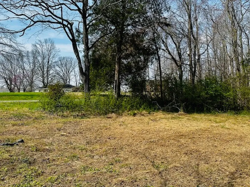 7120 Cobb Circle Fairview TN 37062