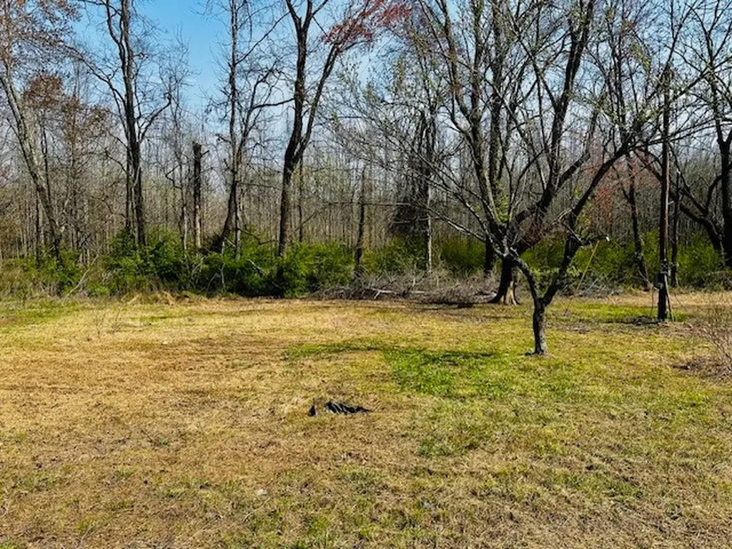 7120 Cobb Circle Fairview TN 37062