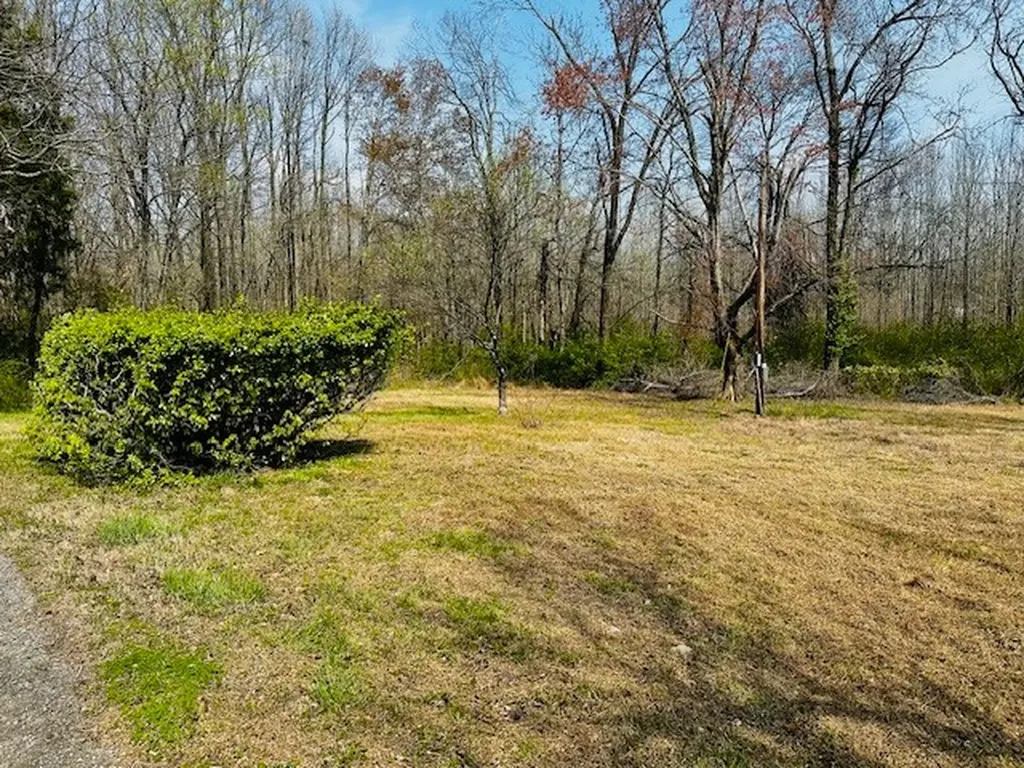 7120 Cobb Circle Fairview TN 37062