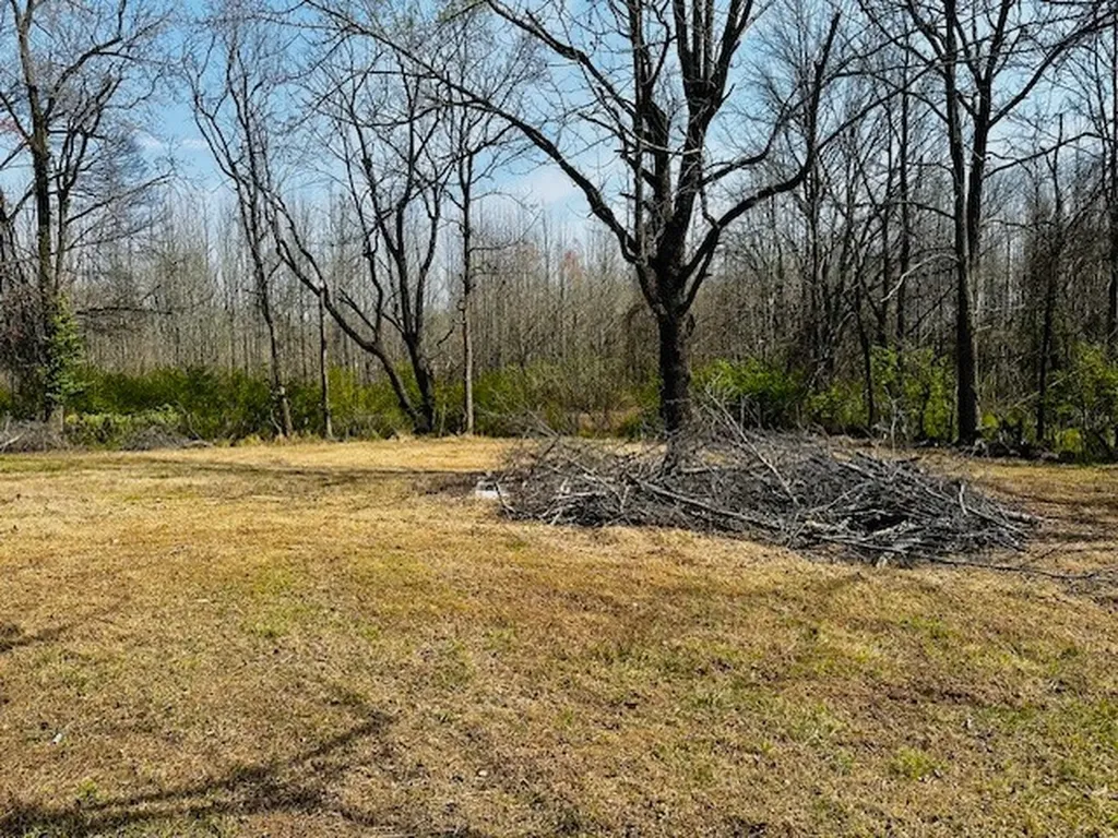 7120 Cobb Circle Fairview TN 37062