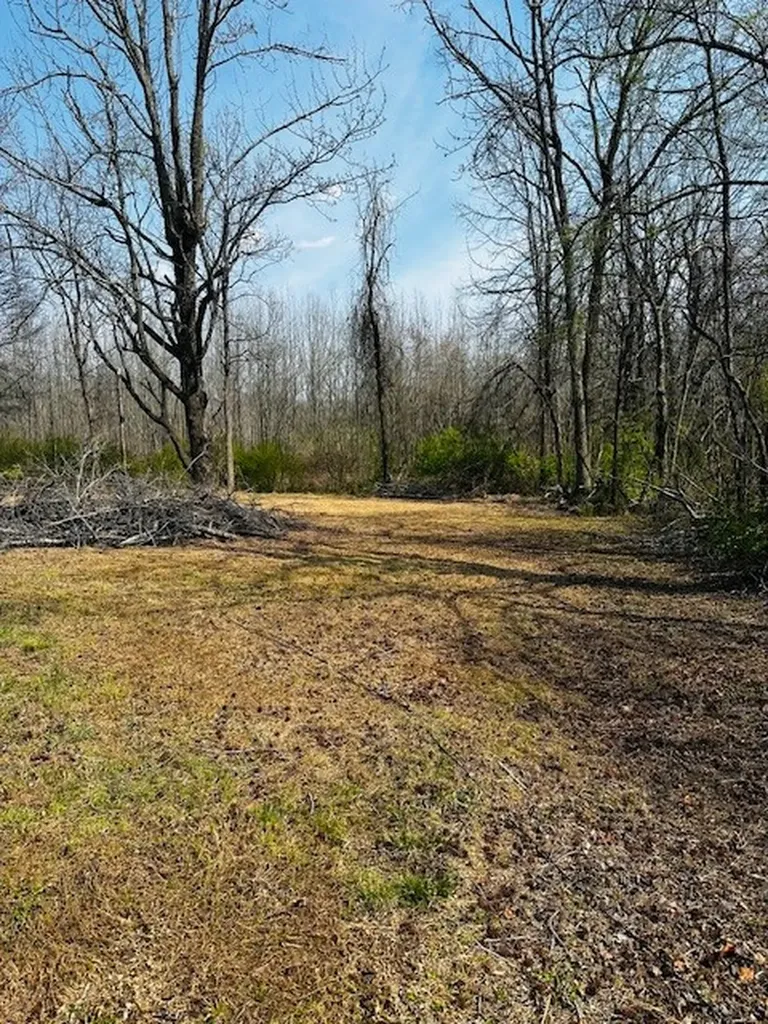 7120 Cobb Circle Fairview TN 37062