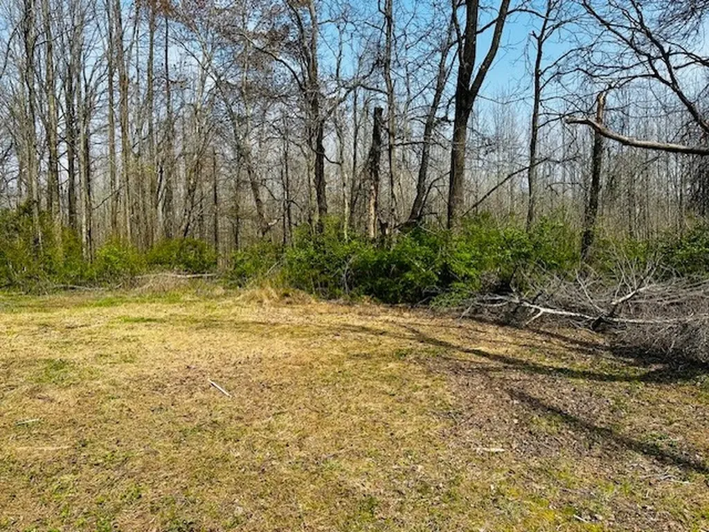 7120 Cobb Circle Fairview TN 37062