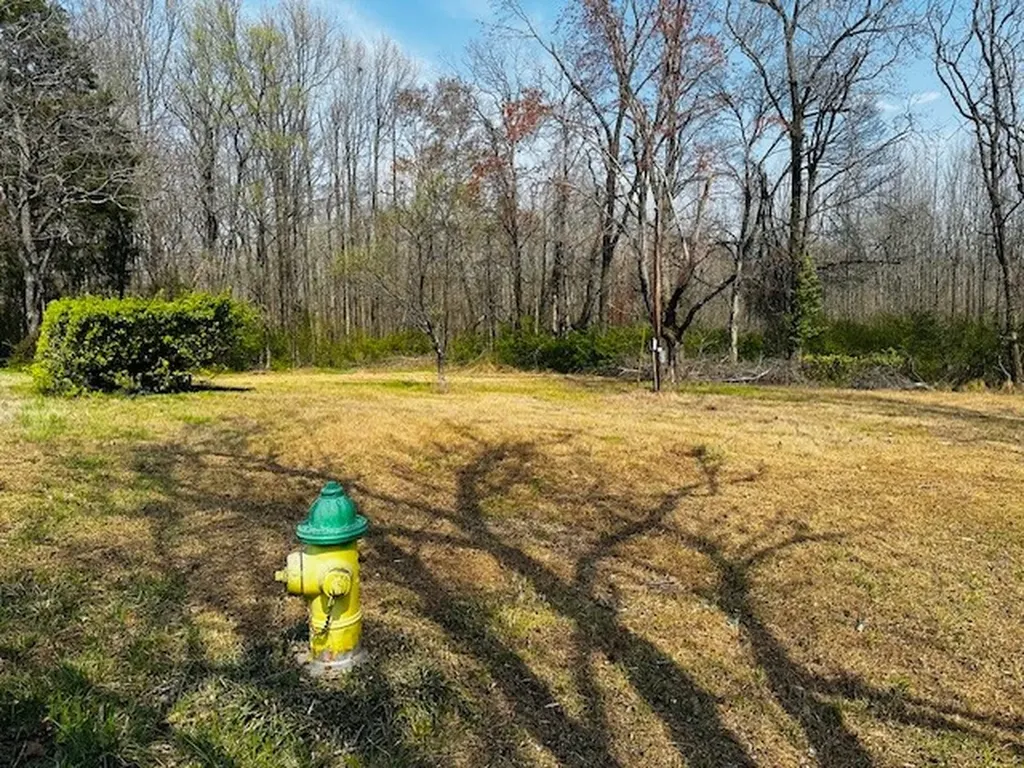 7120 Cobb Circle Fairview TN 37062