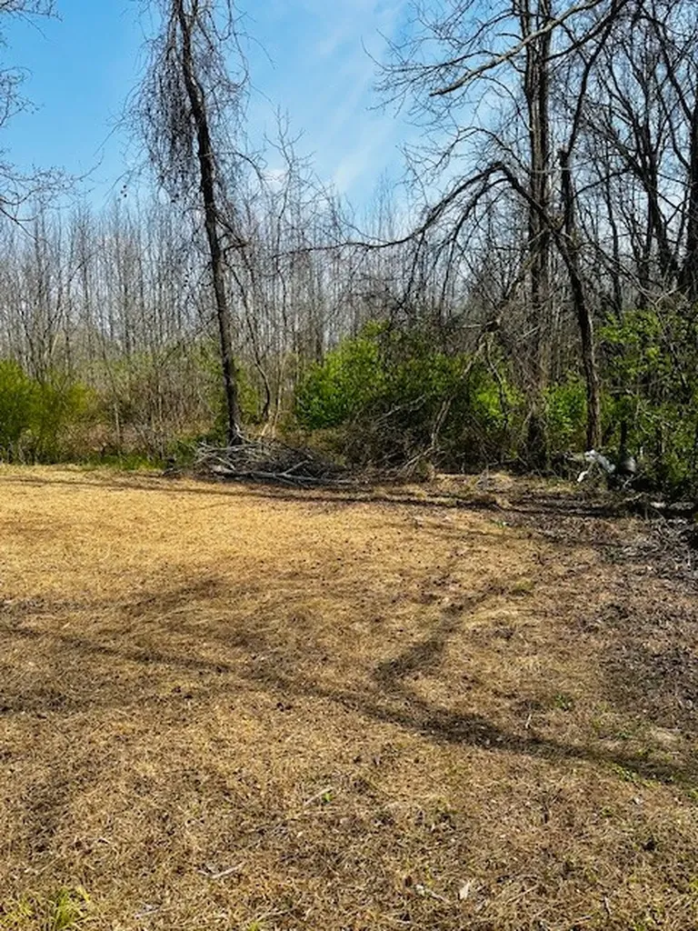 7120 Cobb Circle Fairview TN 37062