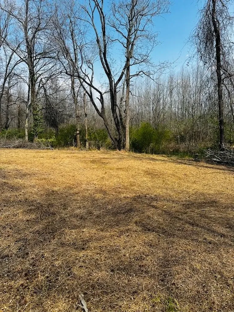 7120 Cobb Circle Fairview TN 37062
