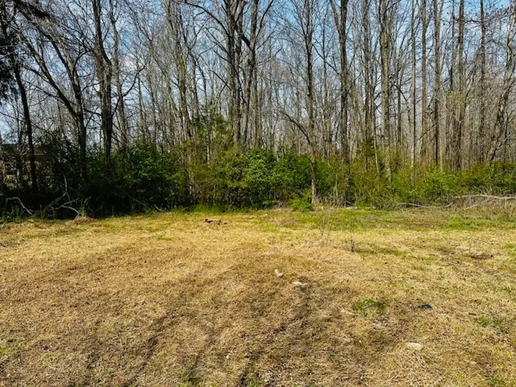 7120 Cobb Circle Fairview TN 37062