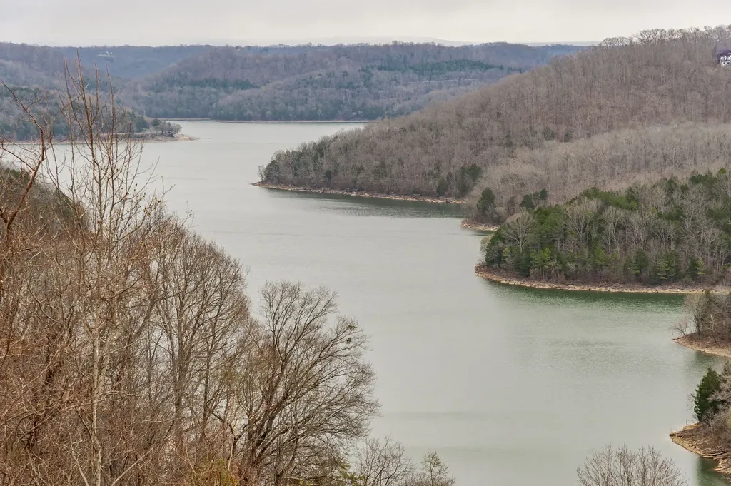42 Deer Path Court Smithville TN 37166