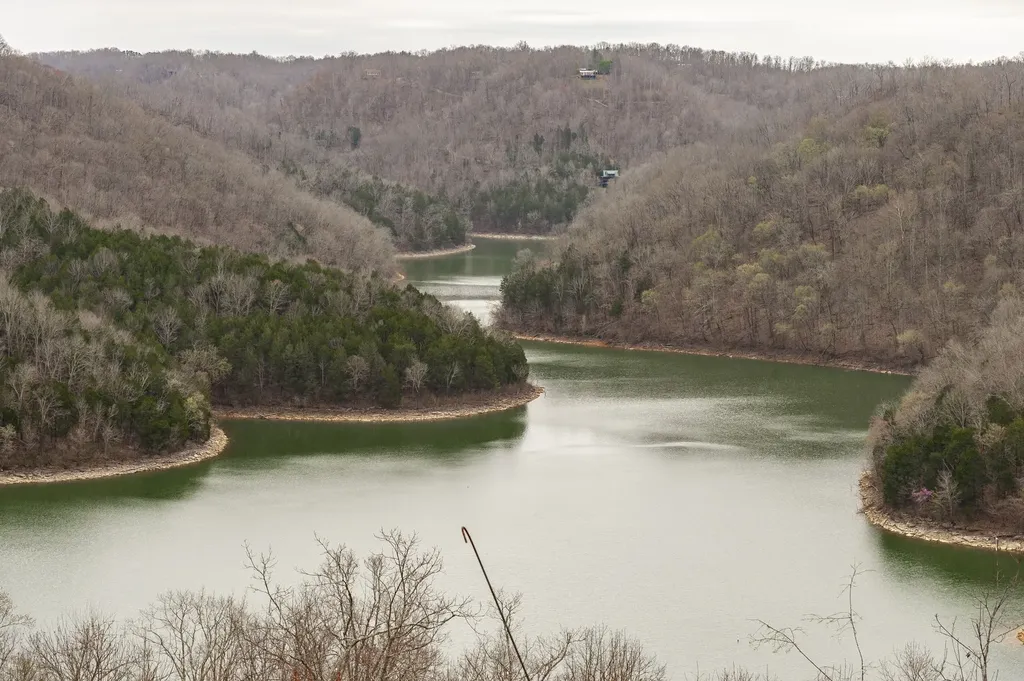 42 Deer Path Court Smithville TN 37166