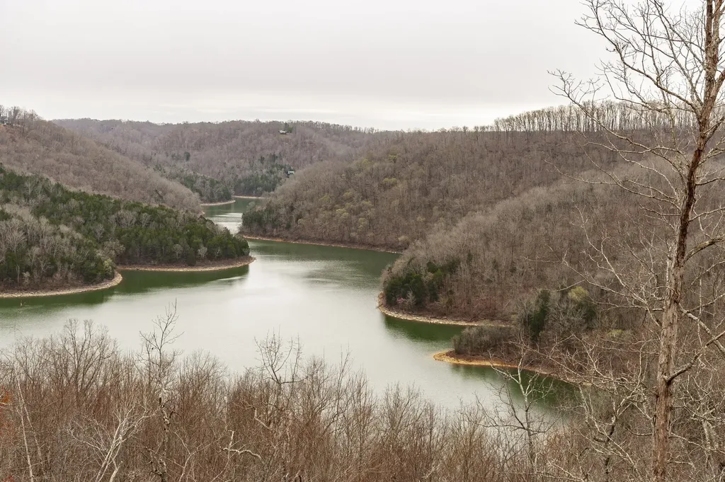 42 Deer Path Court Smithville TN 37166