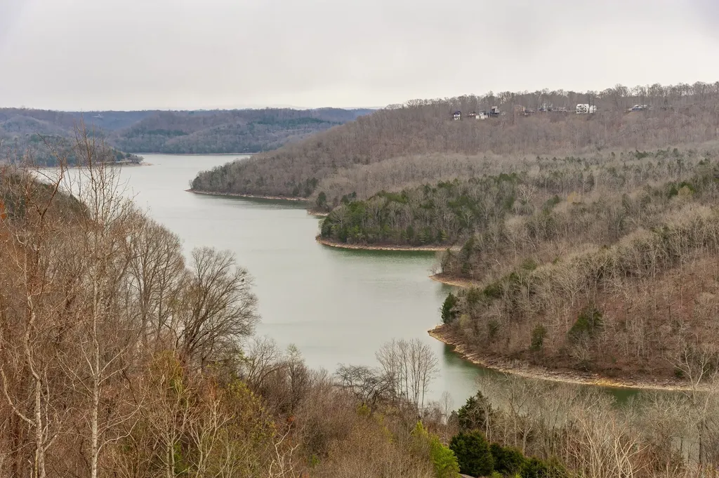 42 Deer Path Court Smithville TN 37166
