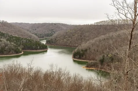 42 Deer Path Court Smithville TN 37166