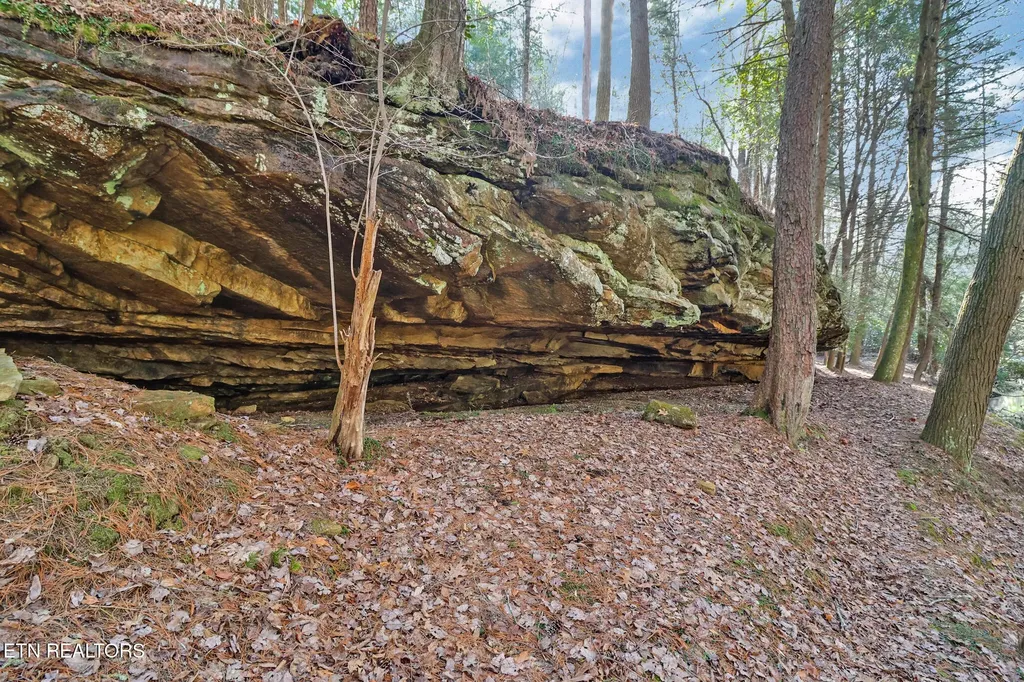 108 Grace Lane Crossville TN 38555