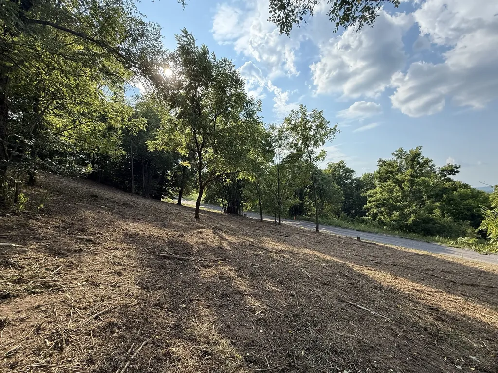0 Deer Ridge Road Columbia TN 38401