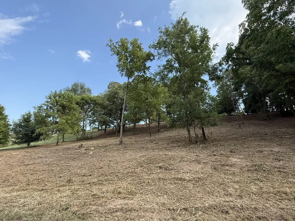 0 Deer Ridge Road Columbia TN 38401