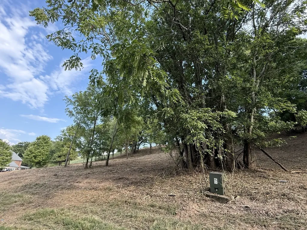 0 Deer Ridge Road Columbia TN 38401