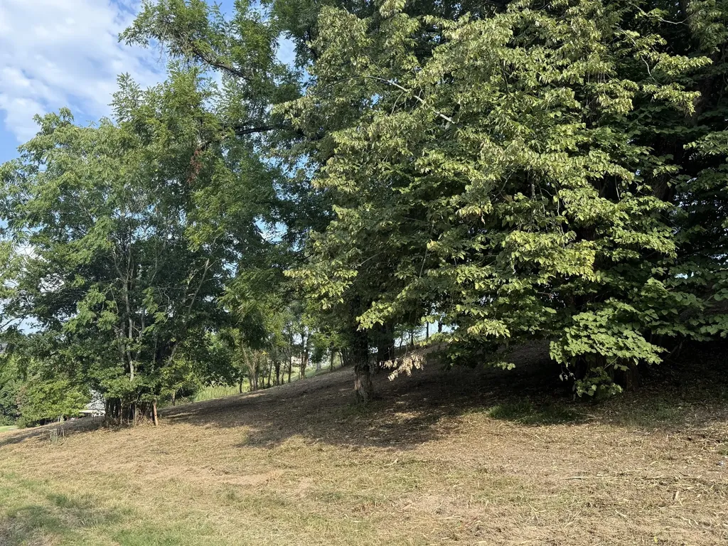 0 Deer Ridge Road Columbia TN 38401