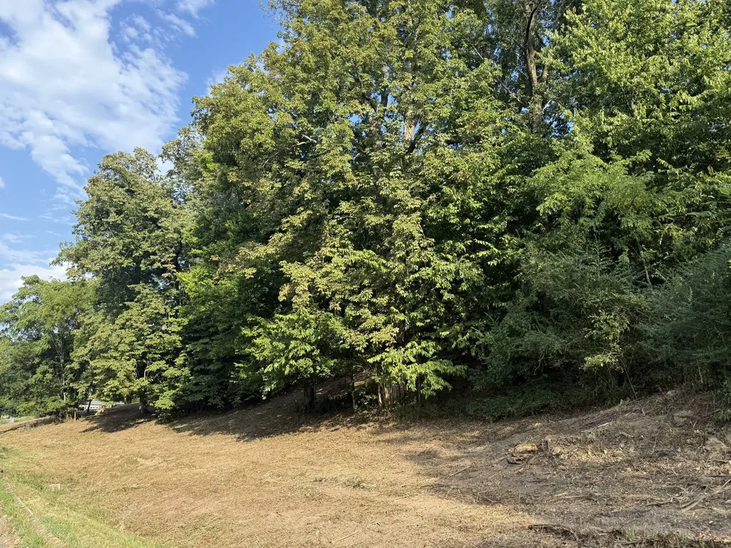 0 Deer Ridge Road Columbia TN 38401