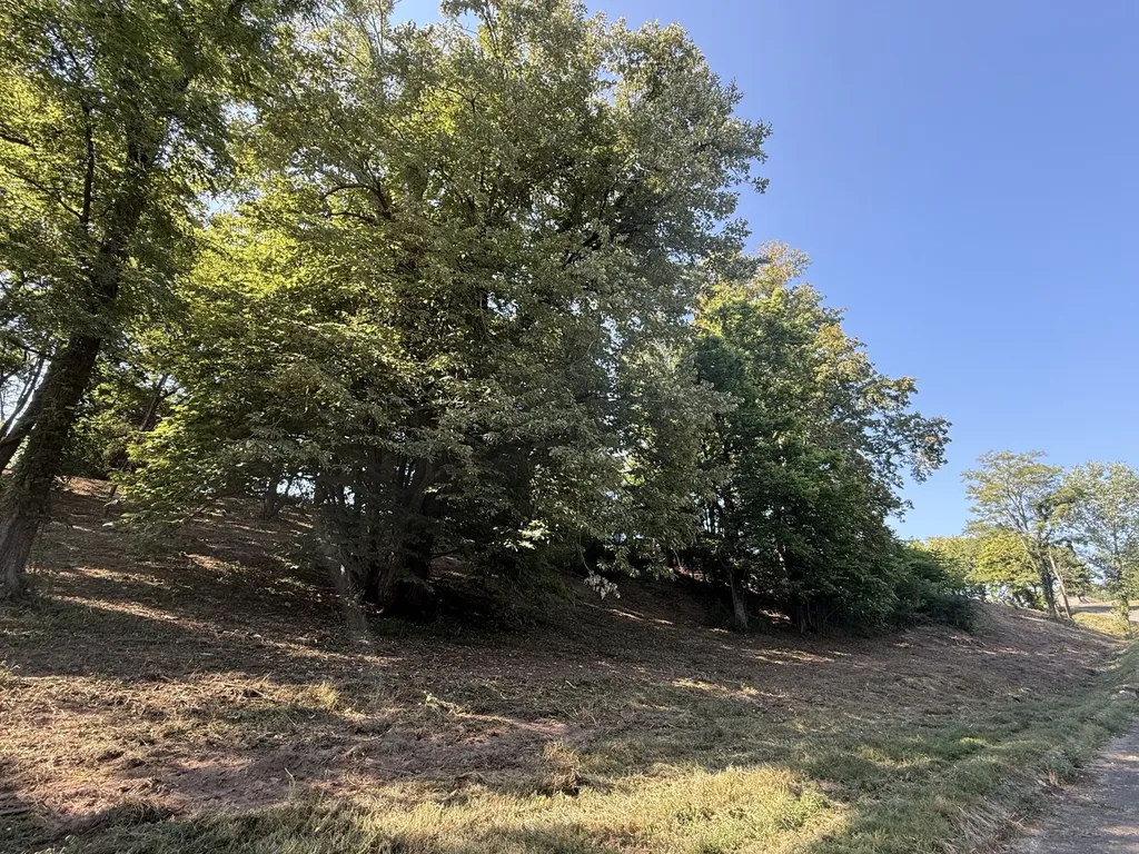0 Deer Ridge Road Columbia TN 38401